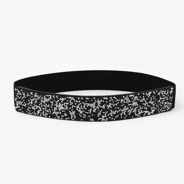 Women Bling Rhinestone Encrusted full Diamond elastic waistband Versatile Evening Dress Crystal Belt